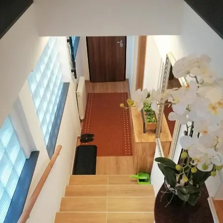 Hall * Sarajevo
