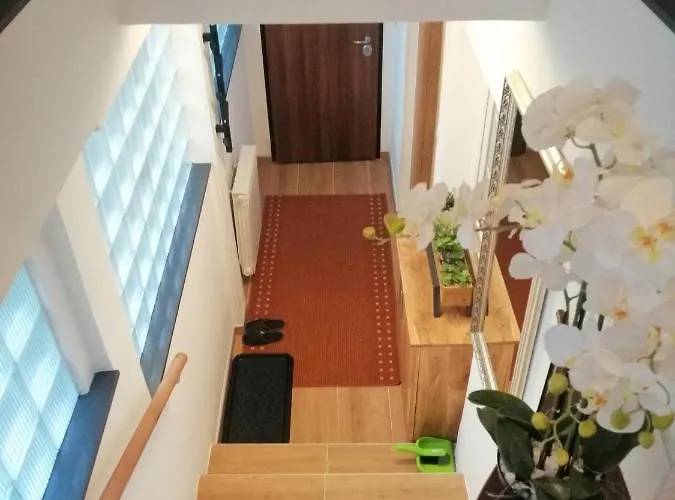 By Ernes Hall * Sarajevo